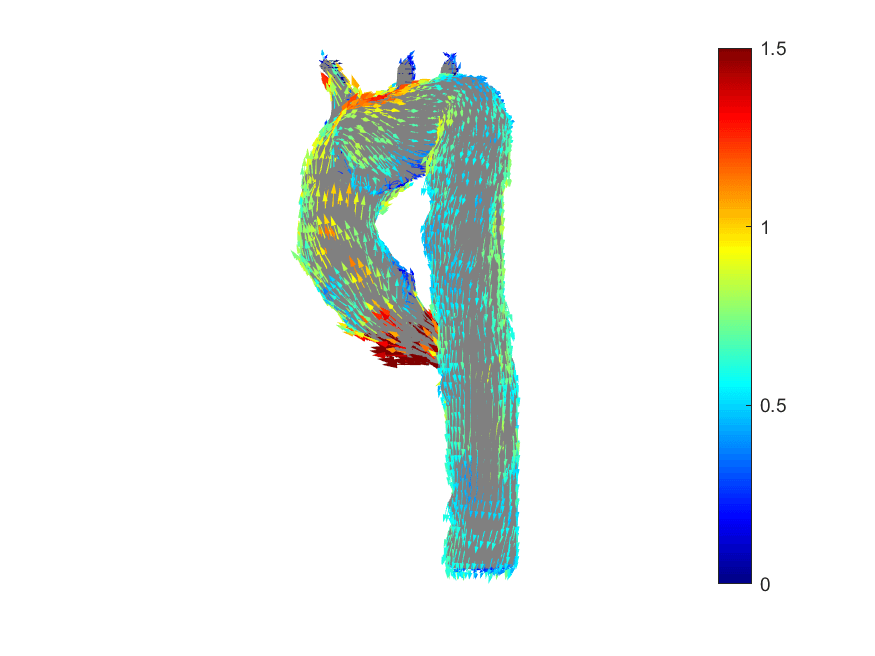 Wall shear stress visualization from cardiovascular flow imaging